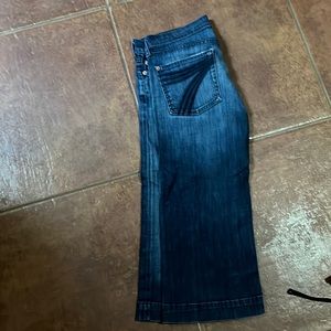 7 For All Mankind size 27